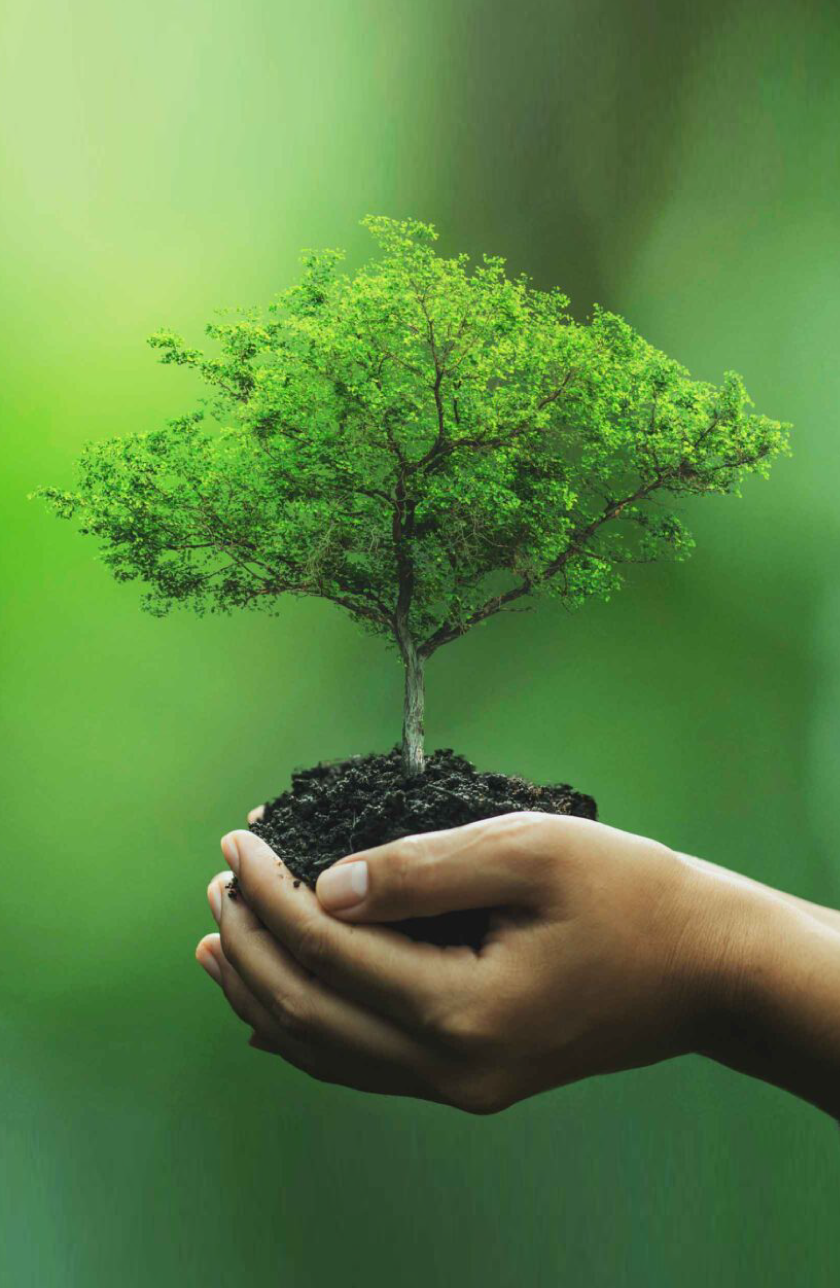 Eco-Friendly-adse Eco-Friendly-adse